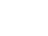 Webinar with CEs icon