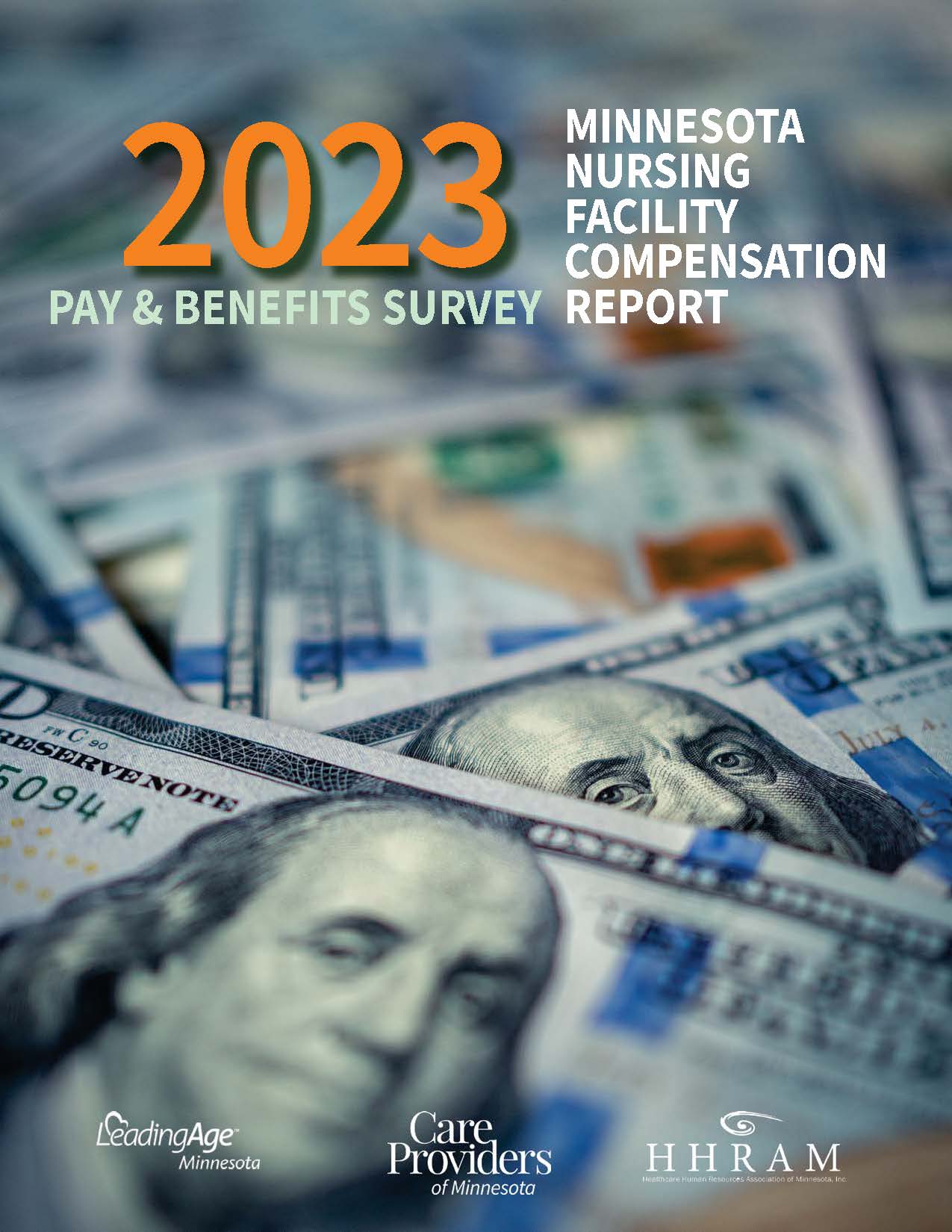 MN Nursing Facility Compensation Report